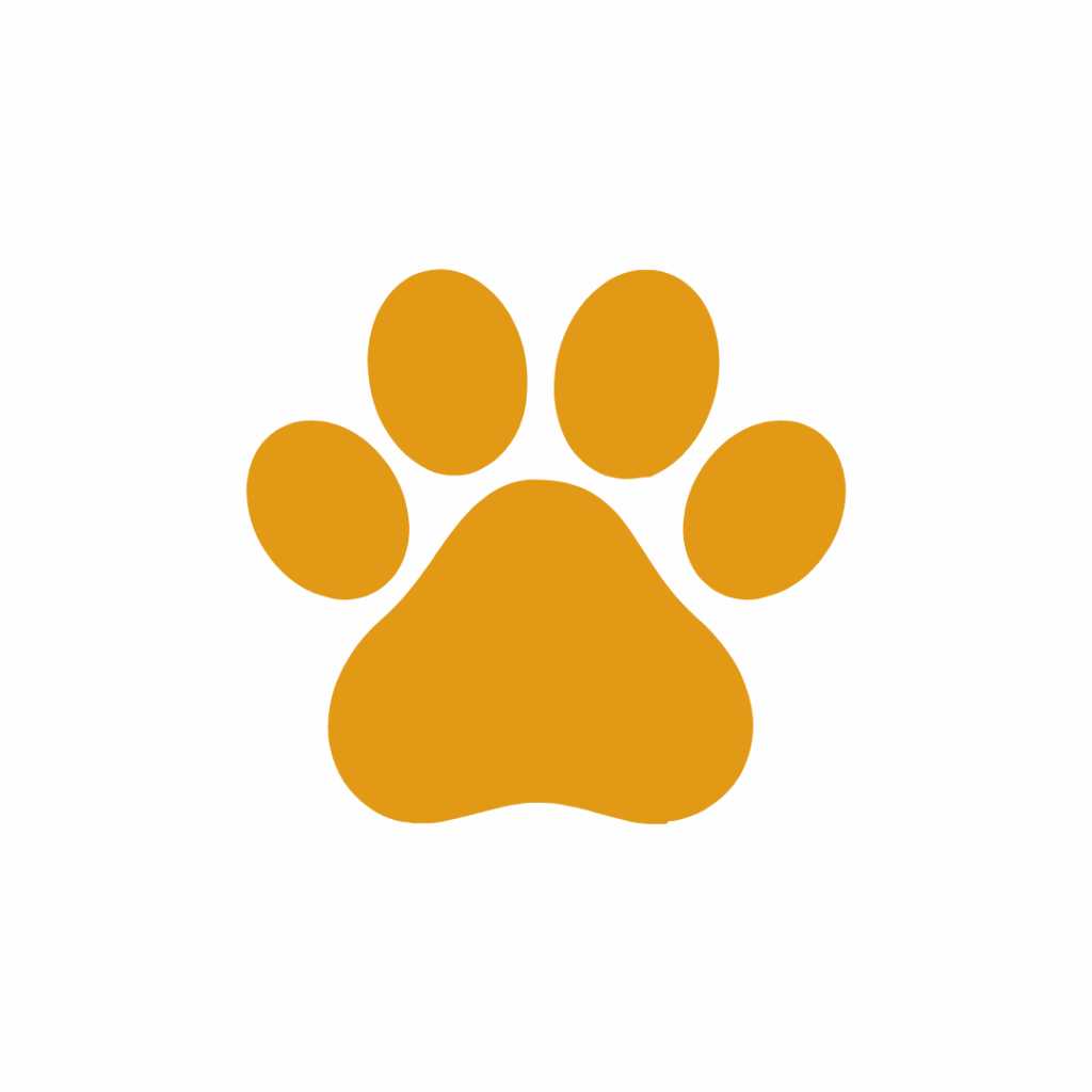 conditions-d-admission-garderie-canine